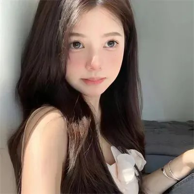 天梯：蔡国强的艺术